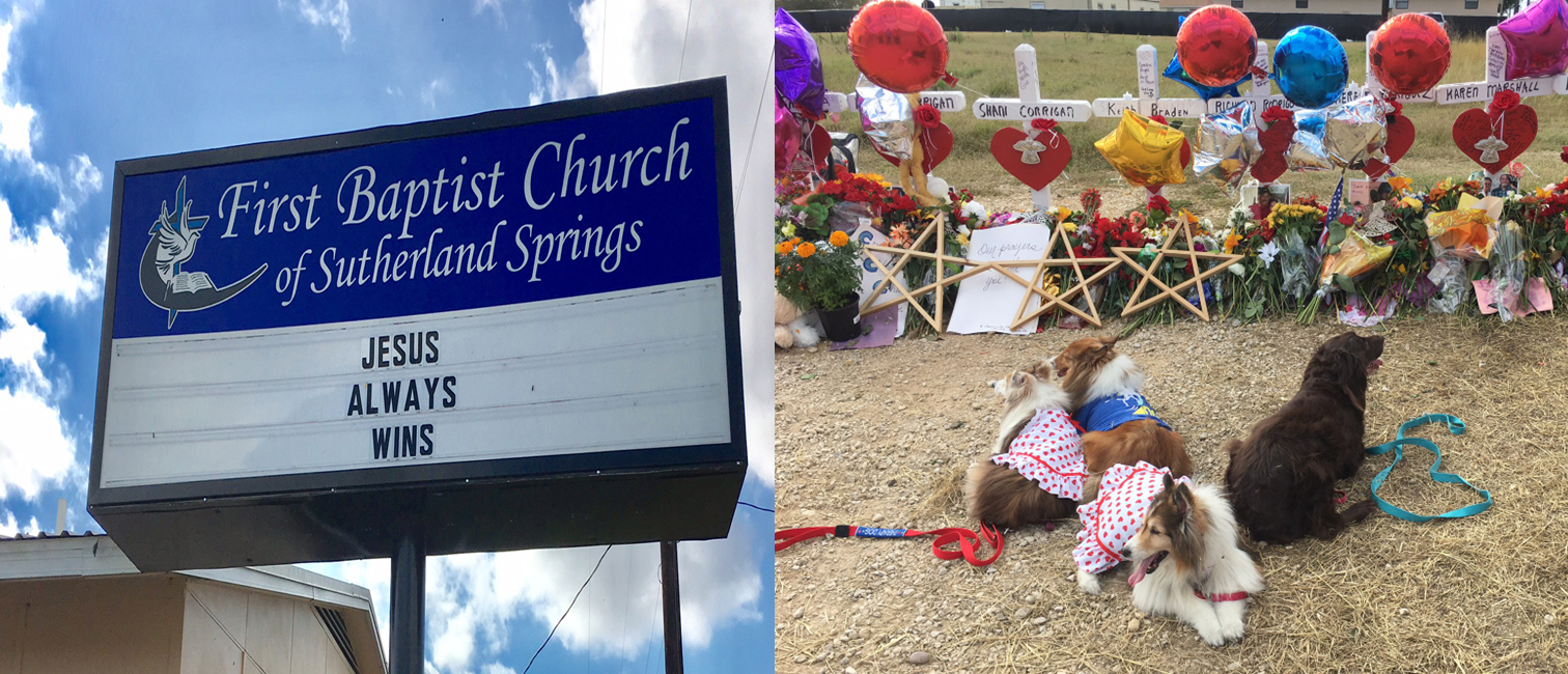 Angel Paws therapy dogs serving after the Sutherland Springs church shooting